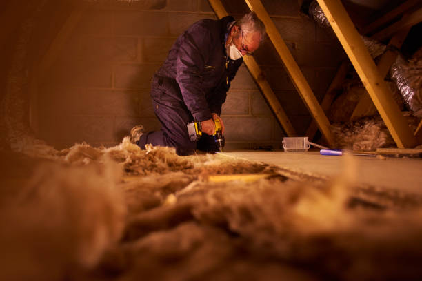 Best Attic Insulation Installation  in Cedar Rapids, IA